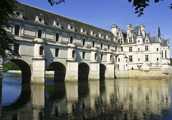 Discovery Day in a Minibus: Châteaux d'Amboise, Chenonceau, Chambord & Clos Lucé – Leaving from Tours
