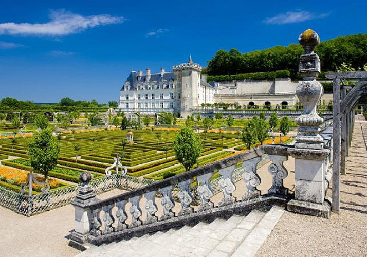 Découverte des châteaux d'Azay-le-Rideau, de Chenonceau, d'Amboise, du Clos Lucé et des jardins de ViIlandry en minibus - Au départ de Tours