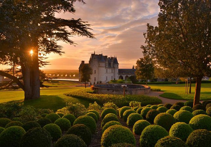 Visita libre con audio-guía al Castillo Real de Amboise