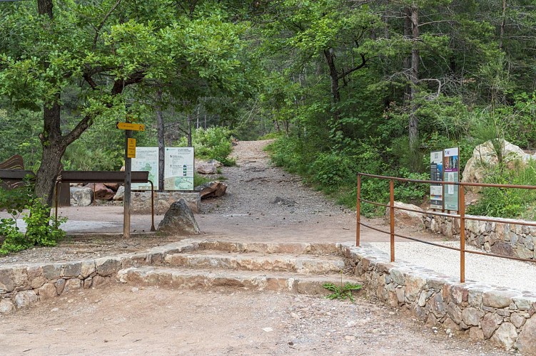 Les empreintes de pas d'oiseaux