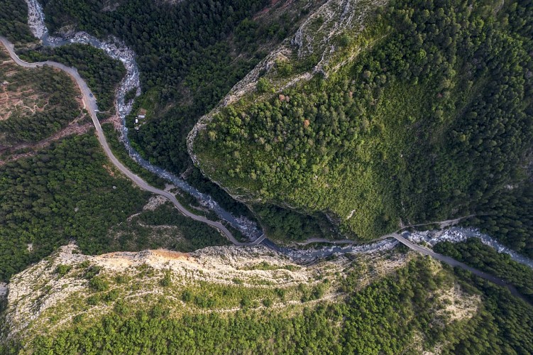 Les empreintes de pas d'oiseaux