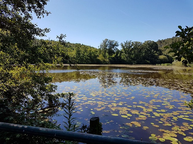 Circuit La Vallée du Don ©Anais V (1)