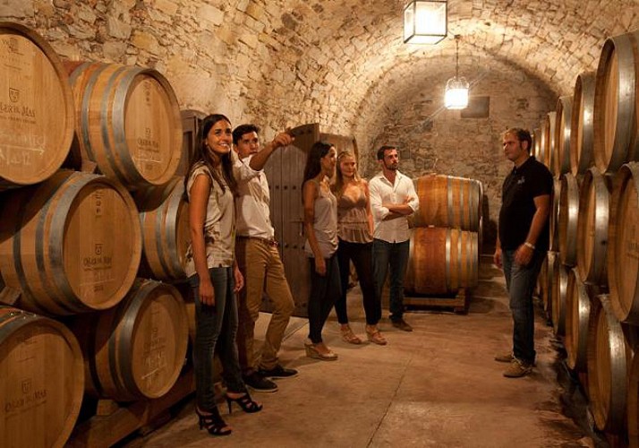 Half Day in Montserrat with Tour of a Vineyard and Wine Tasting – Small group
