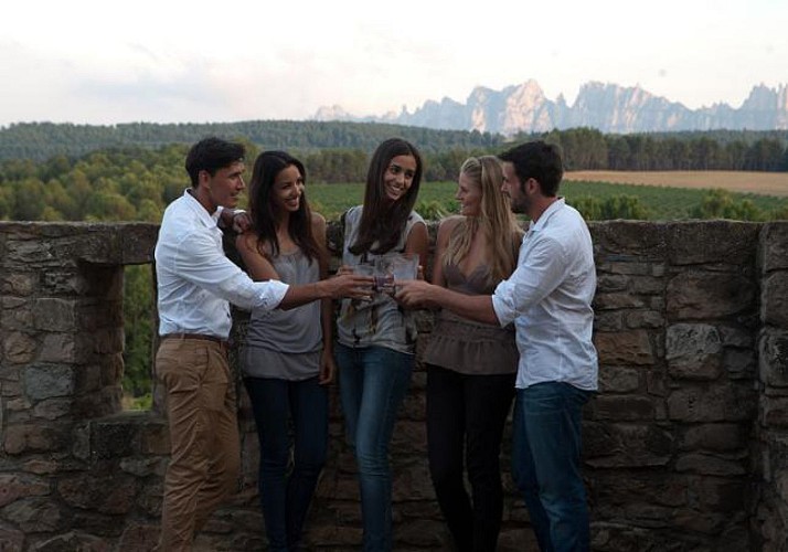 Half Day in Montserrat with Tour of a Vineyard and Wine Tasting – Small group