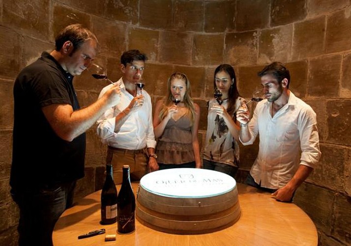 Excursión a Montserrat, visita de un viñedo y cata de vinos - medio día con un grupo pequeño