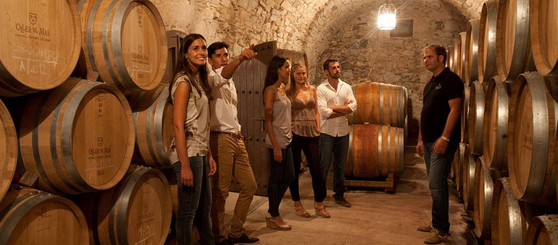 Escursione a Montserrat, visita di un vigneto e degustazione di vini - mezza giornata in piccoli gruppi