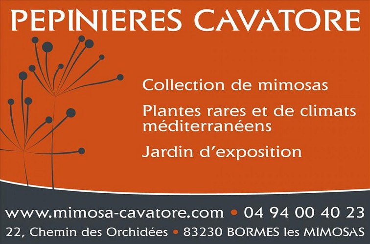 Pépinières Julien Cavatore