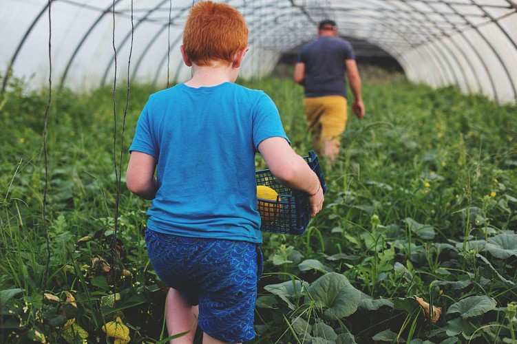 La Ferme des Cairns - Familienzucht Faur
