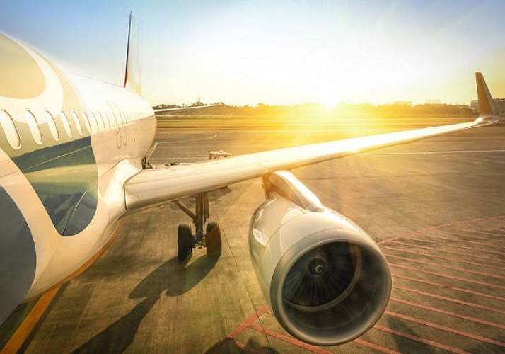 Private Transfer from the Airport to Guadeloupe's Main Towns