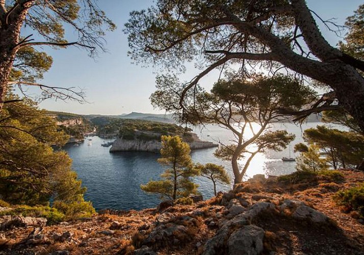 Discover Marseilles and Cruise The Calanques