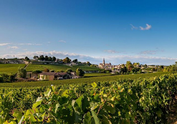 Day bike tour in the vineyards of Saint-Emilion with wine tasting!