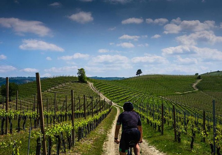 Day bike tour in the vineyards of Saint-Emilion with wine tasting!