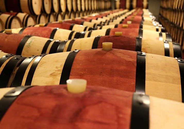 Day bike tour in the vineyards of Saint-Emilion with wine tasting!