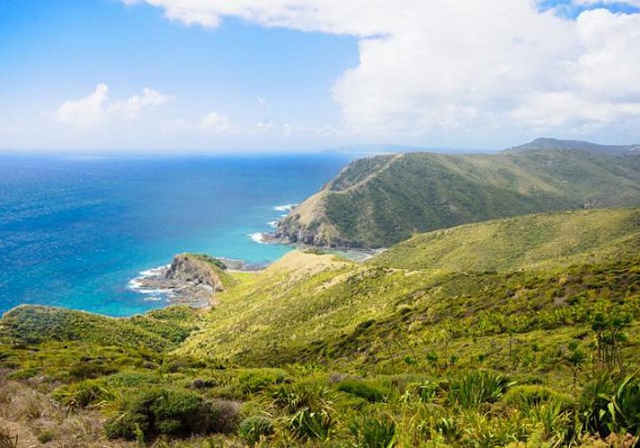 Discovery Cruise along the Western Coast of La Réunion