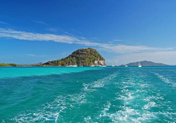 Croisière découverte le long de la côte ouest à La Réunion - Au départ de Saint-Gilles-les-Bains