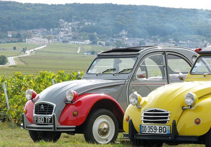 Heritage Tour of Reims & Vineyard Visit in a Vintage 2CV Car – 2 hours