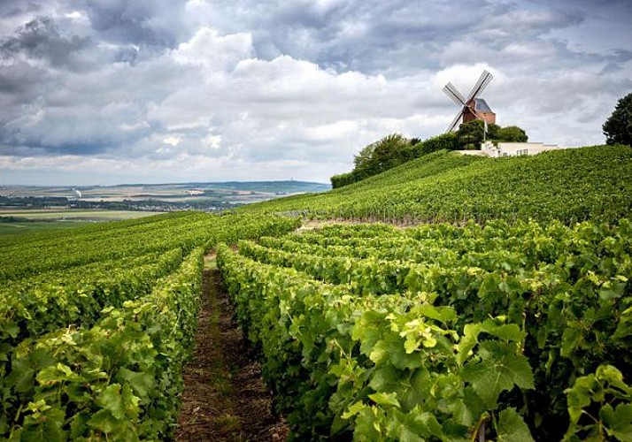 Découverte des vignobles et du patrimoine de Reims en 2CV – 2h