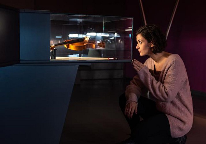 Biglietto d'ingresso per la casa della musica (Haus der Musik) di Vienna