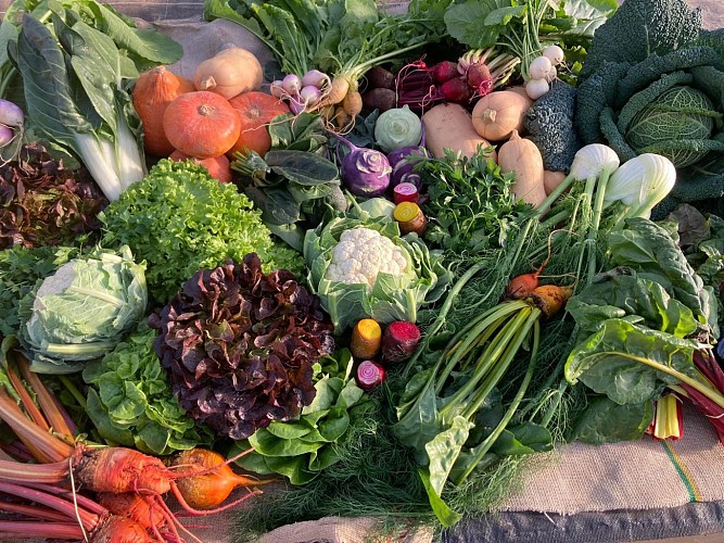 Marché Paysan de la Ferme du Laquet