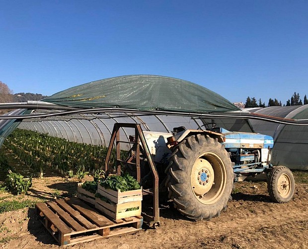 Marché Paysan de la Ferme du Laquet