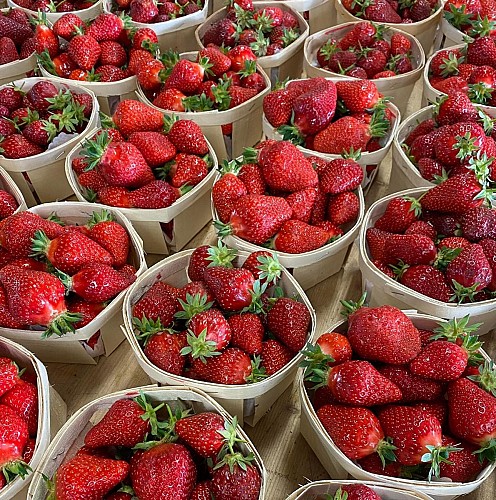 Marché Paysan de la Ferme du Laquet