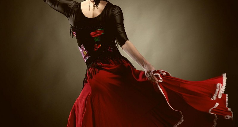 Visite guidée à pied de l’Alhambra, spectacle de Flamenco et tour nocturne de l’Albaicin à Grenade