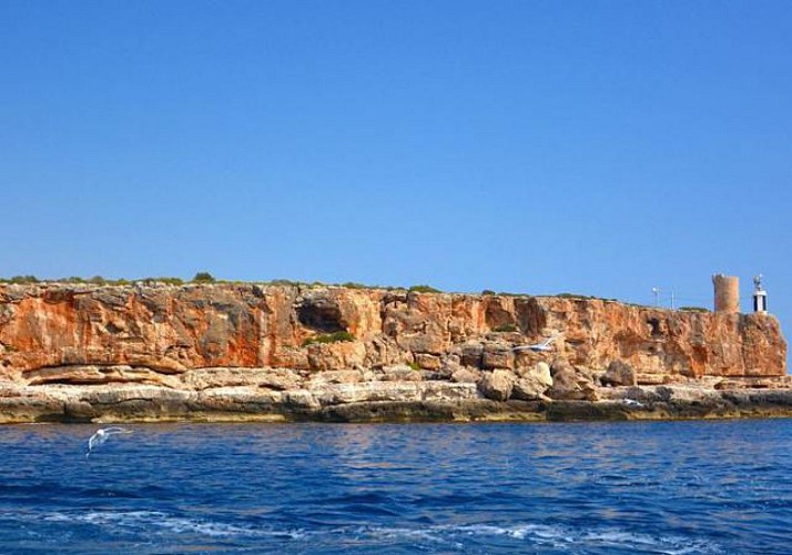 Bootstour zum Naturpark Mondrago auf Mallorca