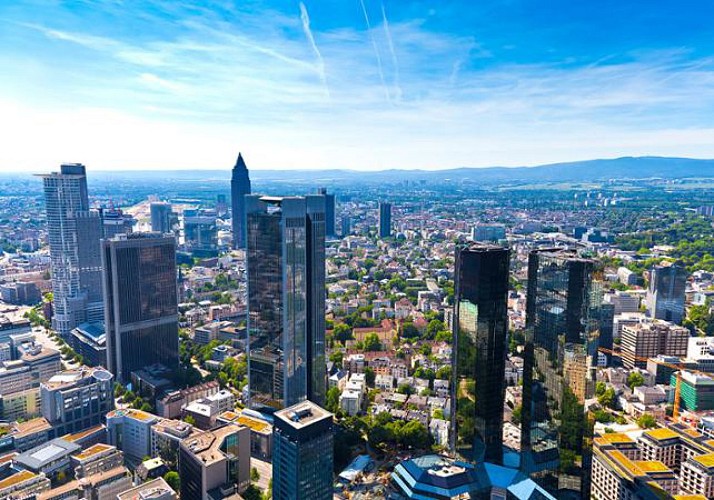 Guided Tour of Frankfurt + Half-Day in the Rhine Valley with Dinner and Cruise