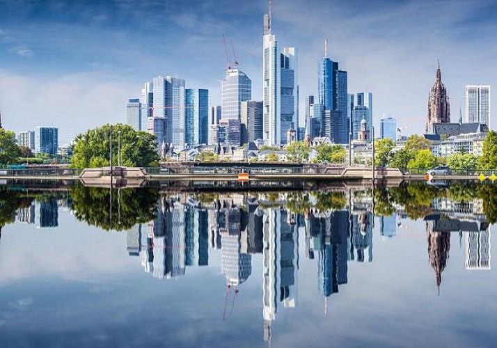 Guided Tour of Frankfurt + Half-Day in the Rhine Valley with Dinner and Cruise