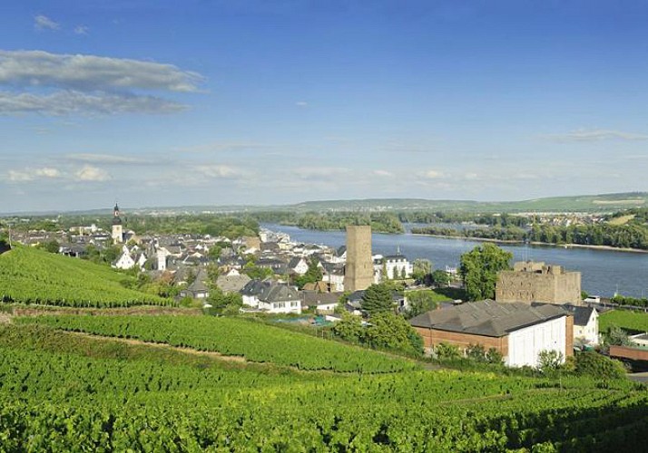 Vallée du Rhin : excursion en bus, croisière sur le fleuve et dîner traditionnel