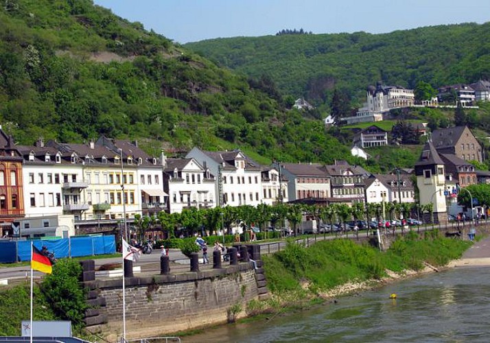 Vallée du Rhin : excursion en bus, croisière sur le fleuve et dîner traditionnel