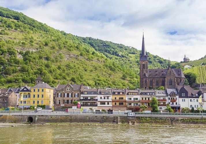 Vallée du Rhin : excursion en bus, croisière sur le fleuve et dîner traditionnel