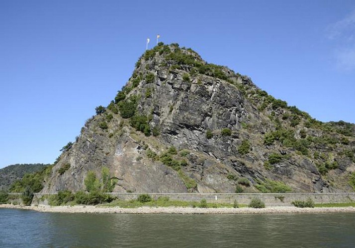 Vallée du Rhin : excursion en bus, croisière sur le fleuve et dîner traditionnel