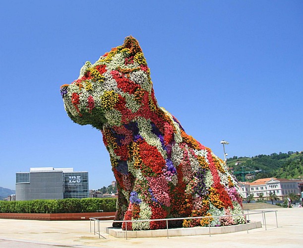 Tour guidé de Bilbao en bus et à pied et billet Musée Guggenheim avec audioguide
