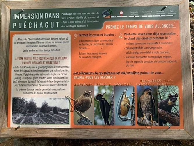 Arboretum de Puechagut