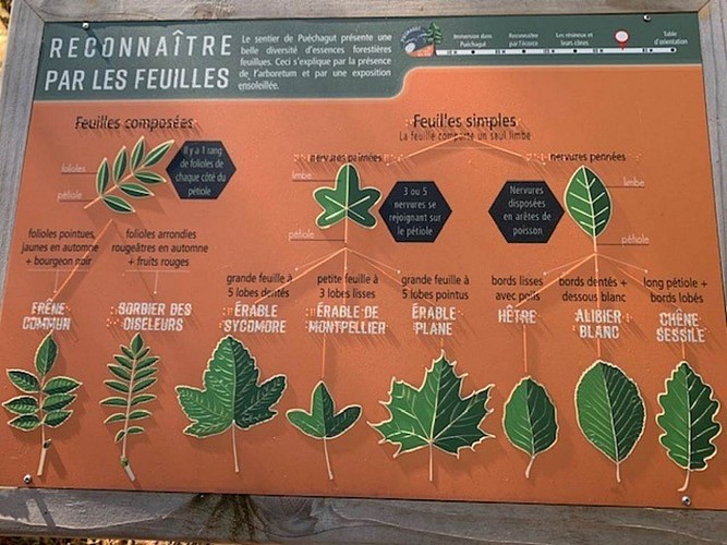 Arboretum de Puechagut