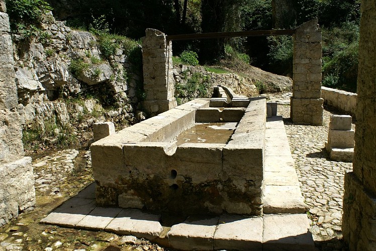 Lavoirs de Montauroux