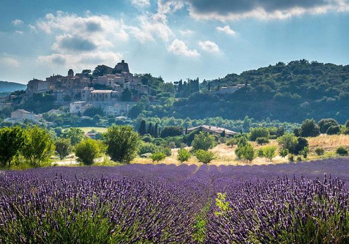 Excursion to Provence: Hilltop Villages and Markets