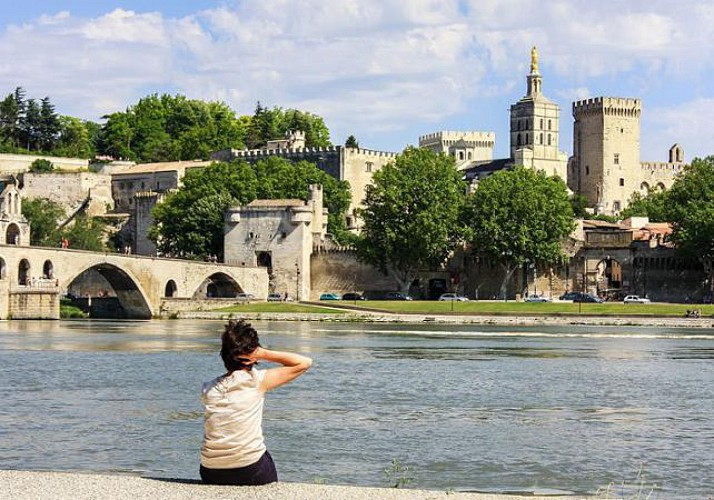 Tour en Provence : Découverte d’Avignon et visites des villages de l'arrière pays provençal - En français
