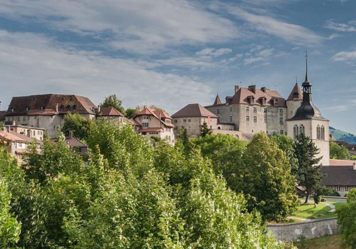 Excursion à Gruyères, dégustation de chocolats et de fondue + tour panoramique en Golden Express-  au départ de Lausanne