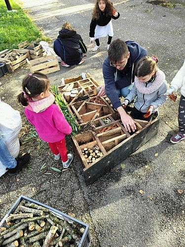 Atelier hôtel à insectes