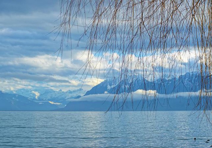Return Cruise from Lausanne to Vevey
