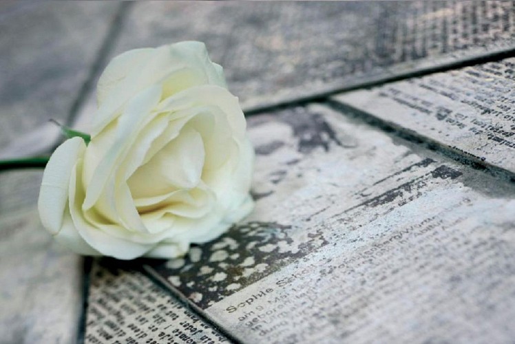 Visite guidée en bus et à pied de Munich: Sur les traces du 3ème Reich et de la Résistance allemande