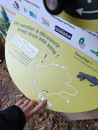 Tracé tactile du sentier et salamandre 
