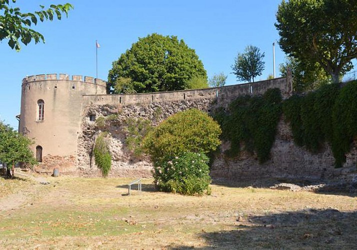 Guided Tour of Fréjus through 2000 Years of History