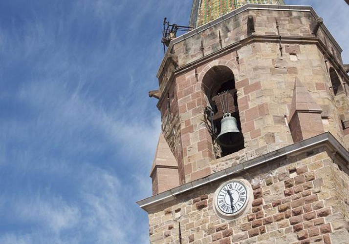 Visite guidée de Fréjus à travers 2000 ans d'histoire