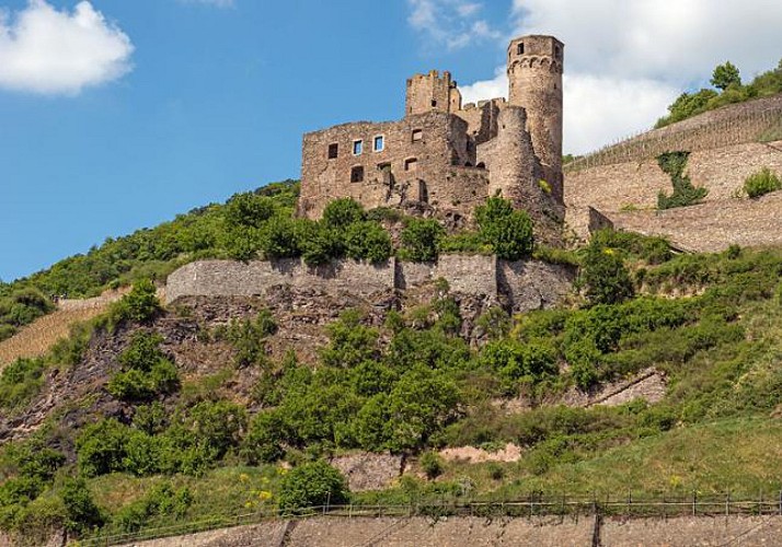 Day Trip in the Rhine Valley by Bus & Boat