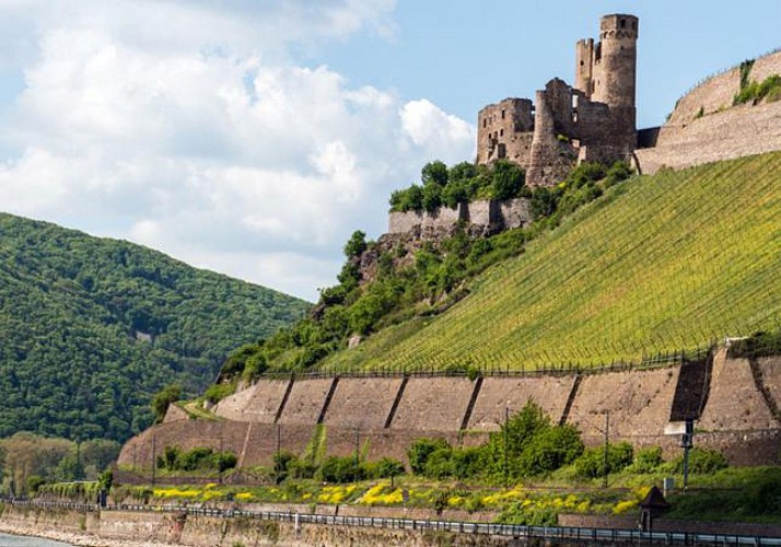 Excursion d’un jour dans la vallée du Rhin en bus et en bateau