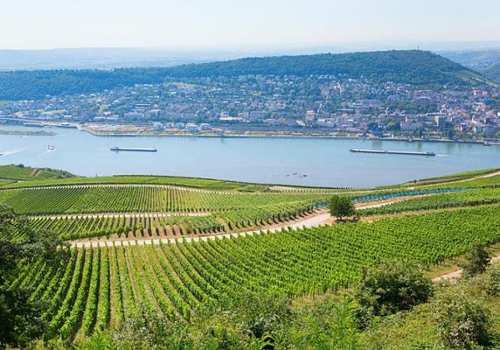 Excursion d’un jour dans la vallée du Rhin en bus et en bateau