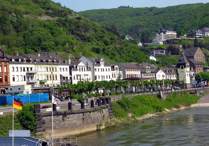 Tour de Francfort en bus et excursion dans la vallée du Rhin